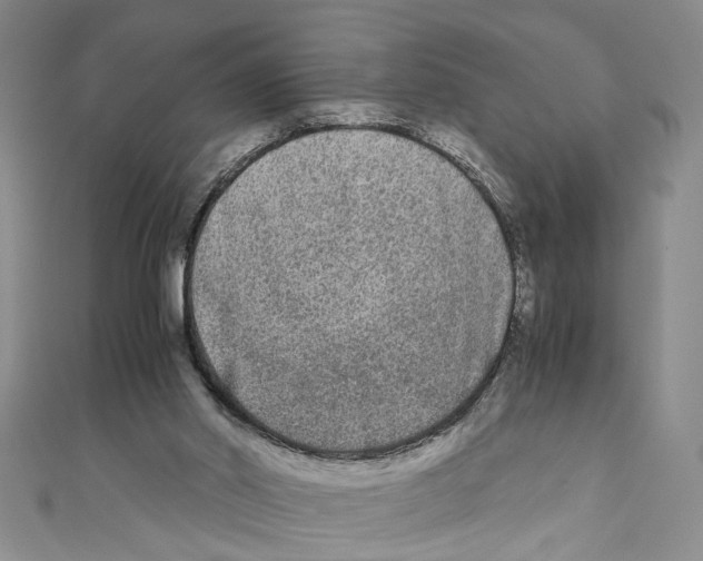 X0000110950014200907171638