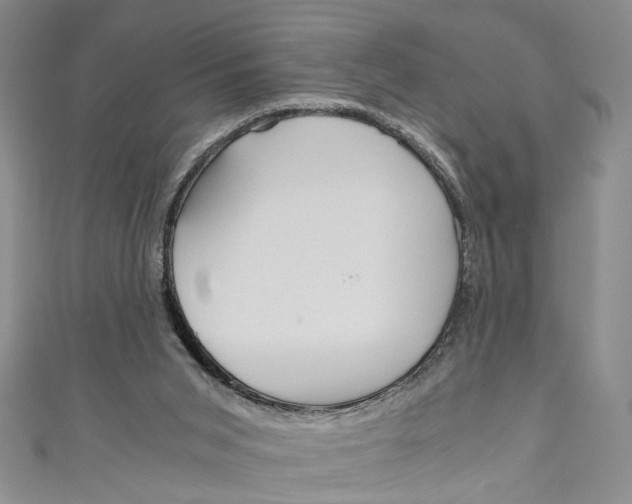 X0000110950015200907171638