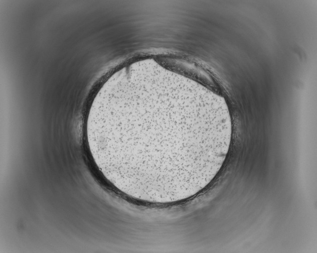 X0000110950016200907171638