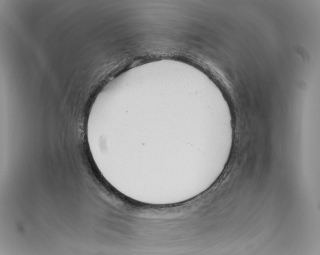X0000110950017200907171638