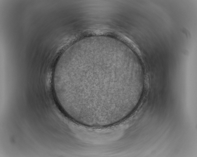 X0000110950018200907171638