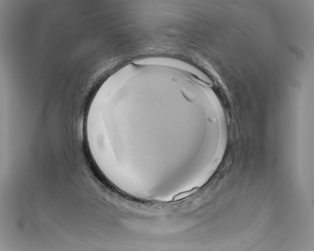 X0000110950019200907171638