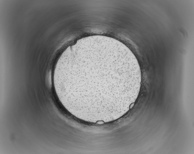 X0000110950020200907171638