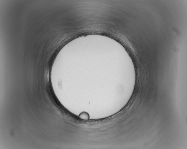 X0000110950021200907171638
