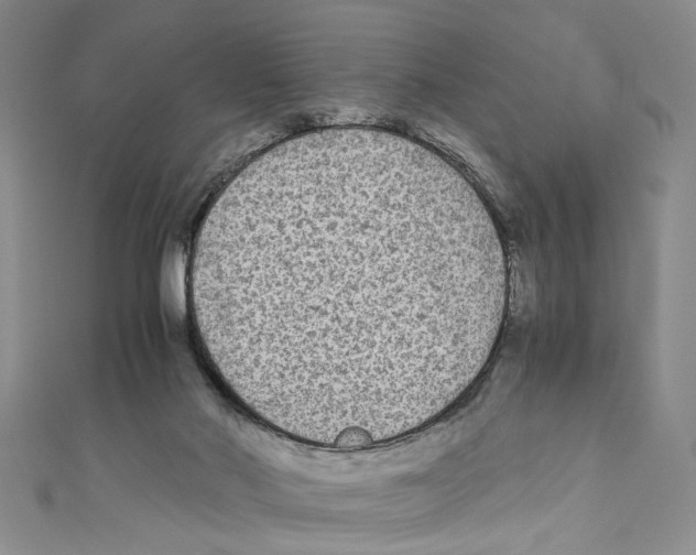 X0000110950022200907171638