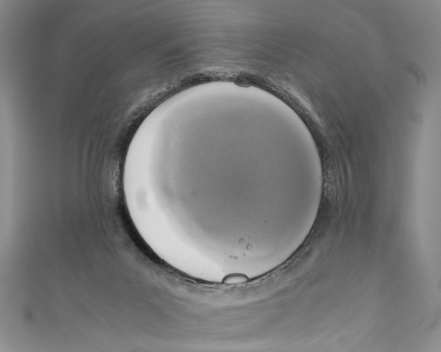 X0000110950023200907171638