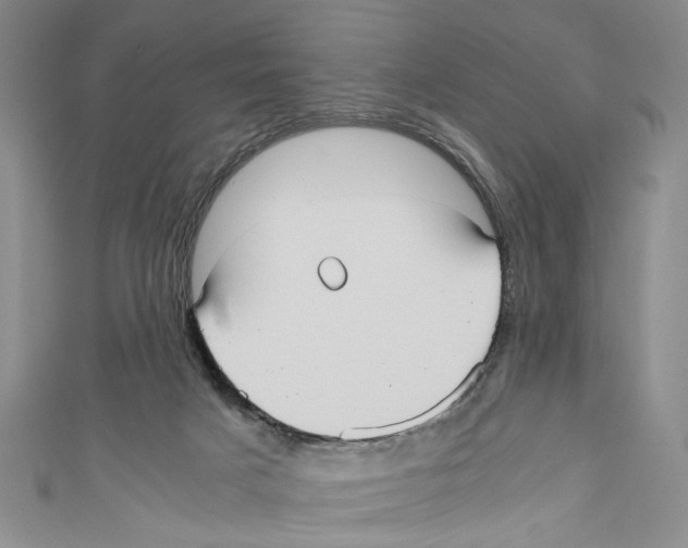 X0000110950025200907171638