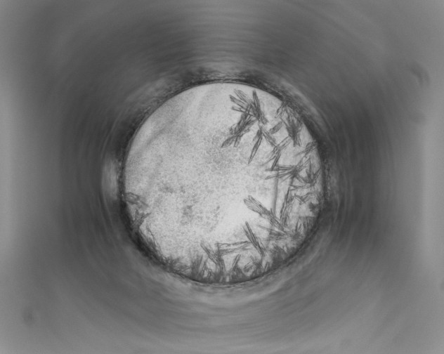 X0000110950026200907171638