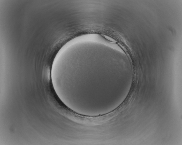 X0000110950027200907171638