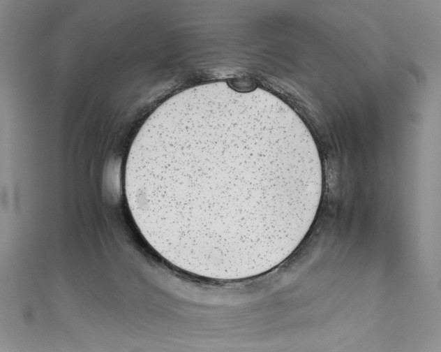 X0000110950028200907171638