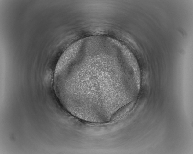 X0000110950029200907171638