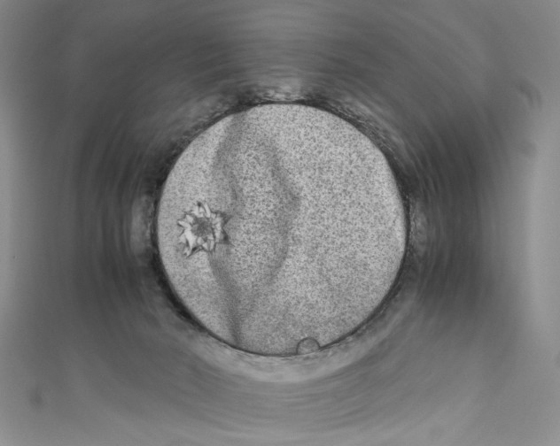 X0000110950030200907171638