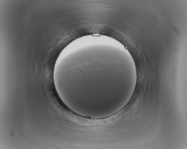 X0000110950031200907171638