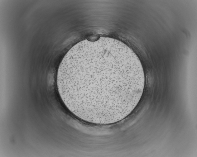 X0000110950032200907171638