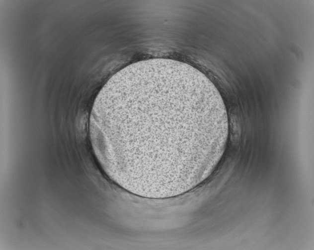 X0000110950034200907171638