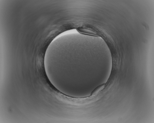 X0000110950035200907171638