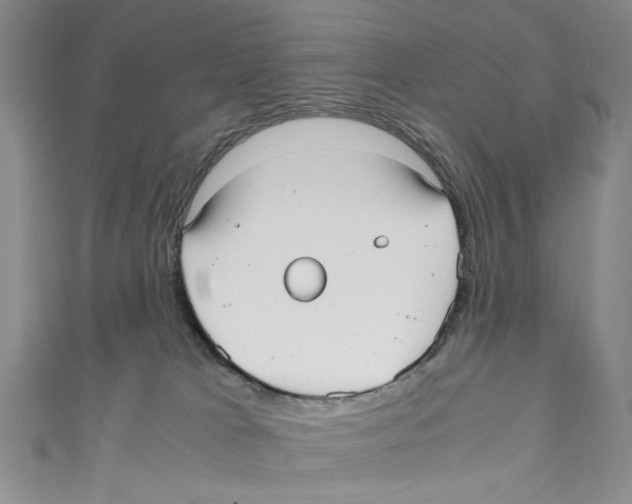 X0000110950037200907171638