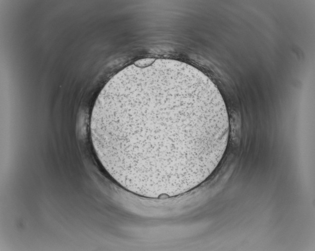 X0000110950038200907171638