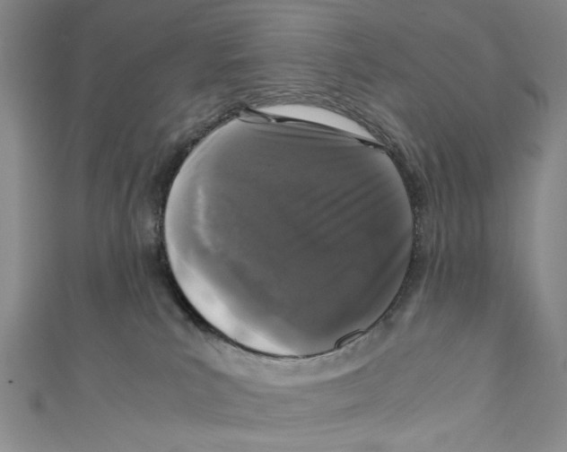 X0000110950039200907171638