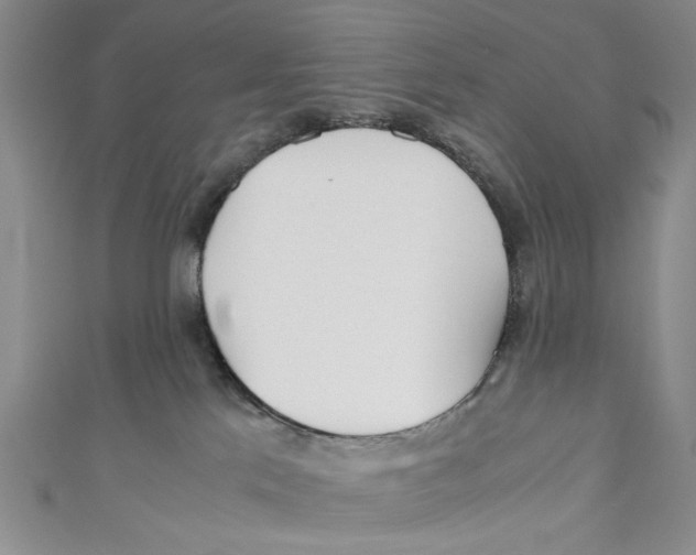 X0000110950041200907171638