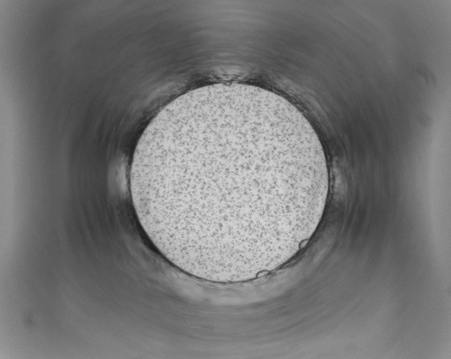 X0000110950042200907171638