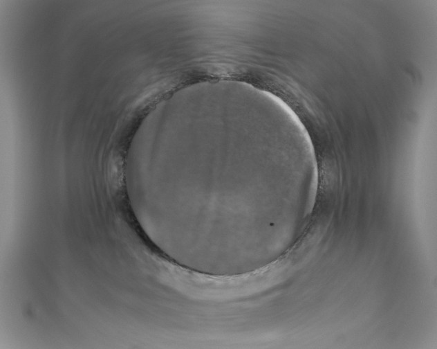 X0000110950043200907171638