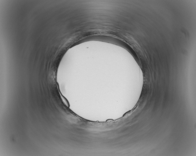 X0000110950045200907171638