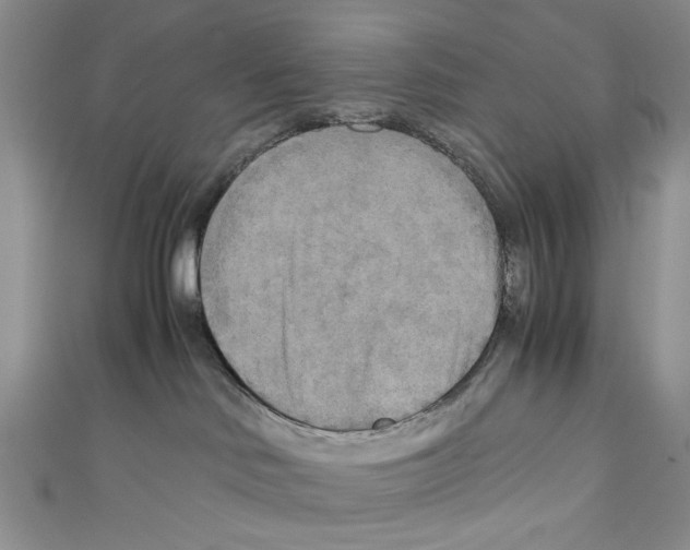 X0000110950046200907171637