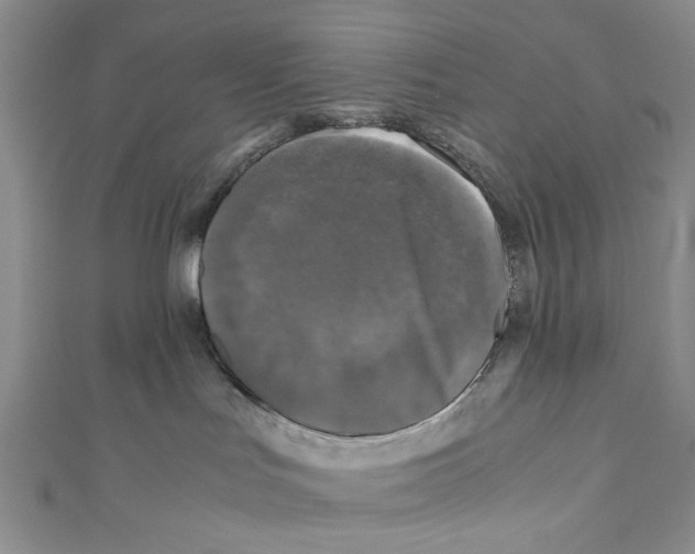 X0000110950047200907171637