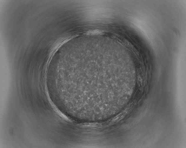 X0000110950049200907171637