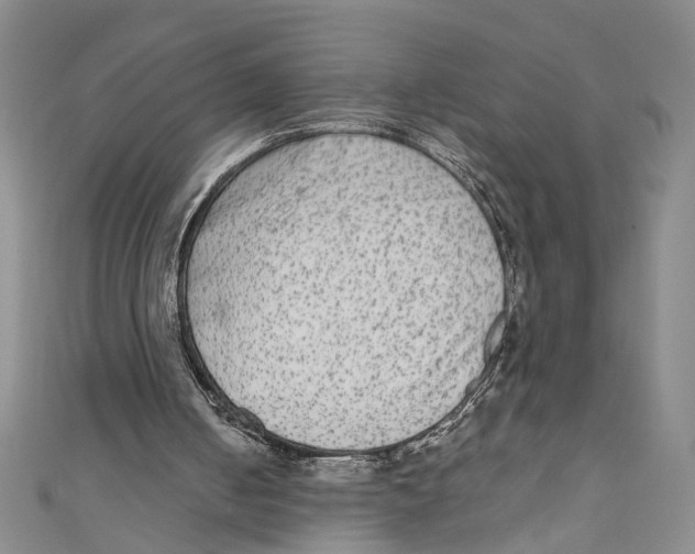 X0000110950050200907171637
