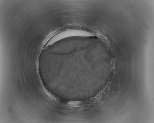 X0000110950051200907171637