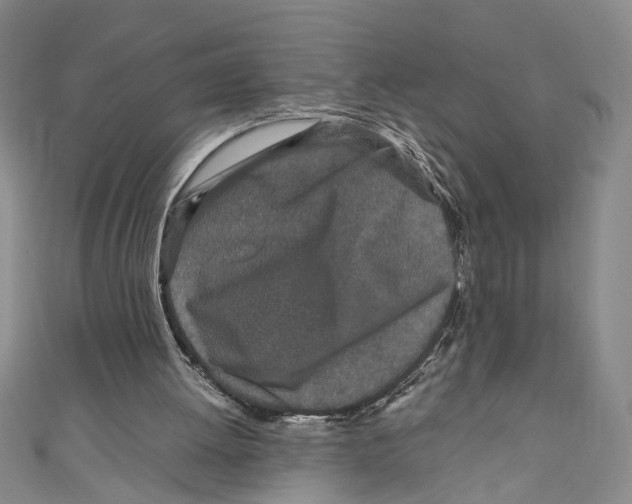 X0000110950052200907171637