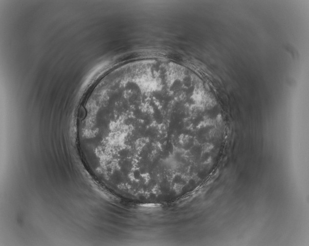 X0000110950053200907171637