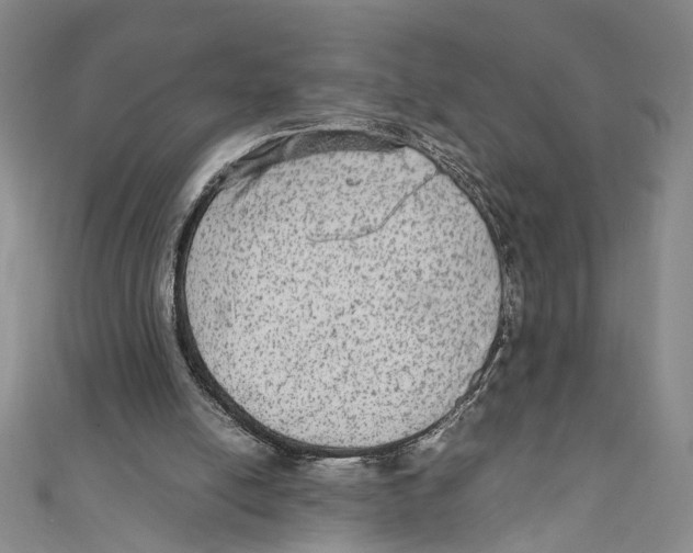 X0000110950054200907171637