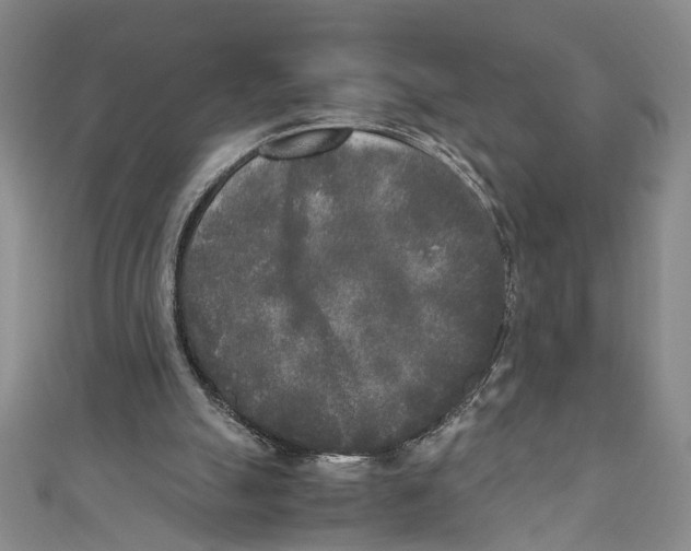 X0000110950055200907171637