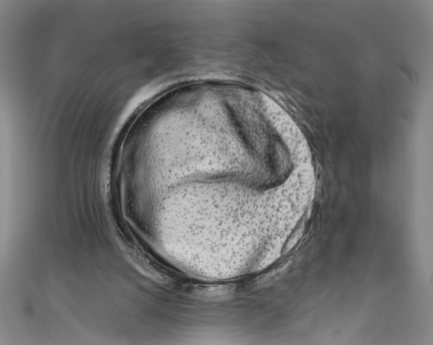 X0000110950056200907171637