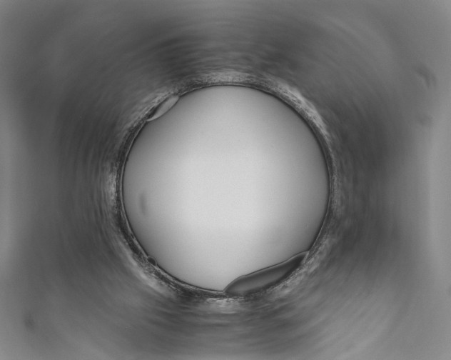 X0000110950057200907171637