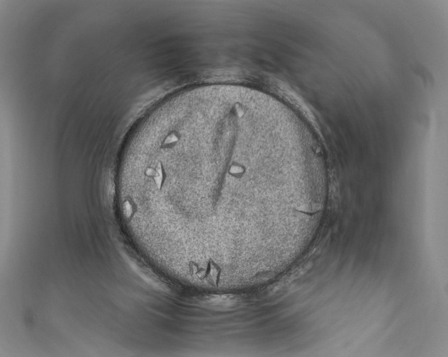 X0000110950059200907171637