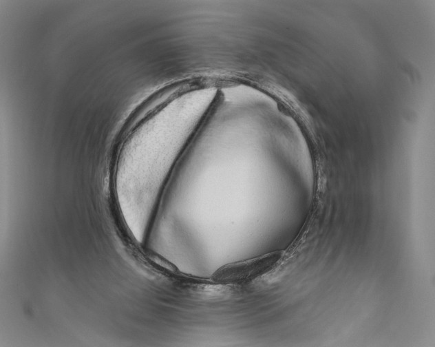 X0000110950060200907171637