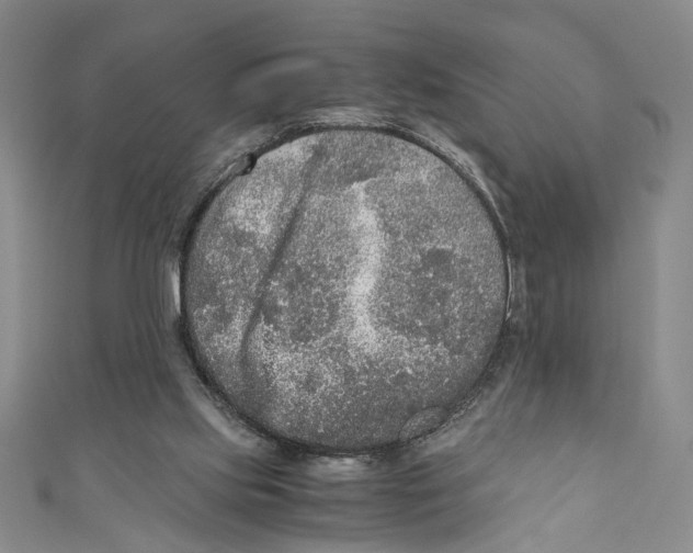 X0000110950061200907171637
