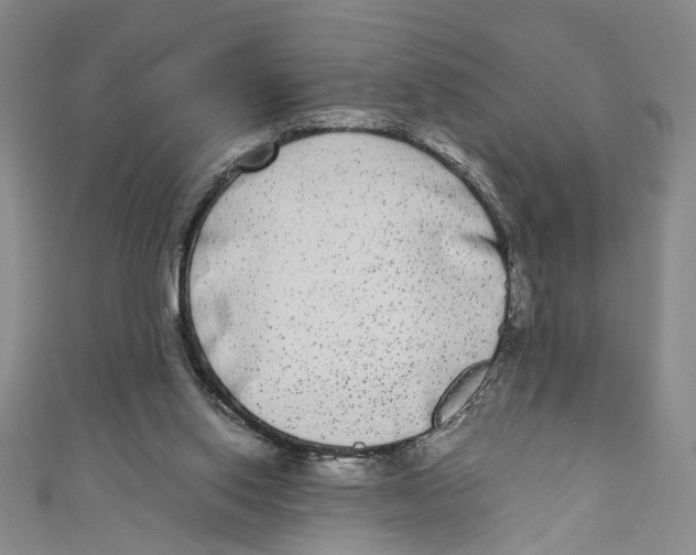 X0000110950062200907171637
