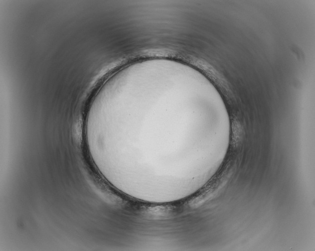 X0000110950064200907171637