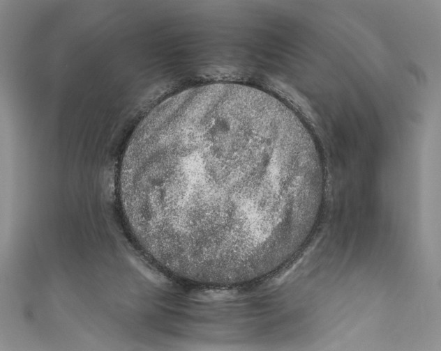 X0000110950065200907171637