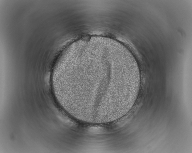 X0000110950066200907171637