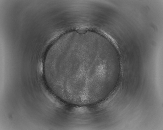 X0000110950067200907171637