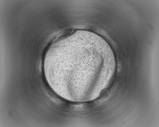 X0000110950068200907171637