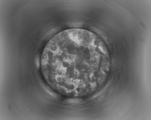 X0000110950069200907171637