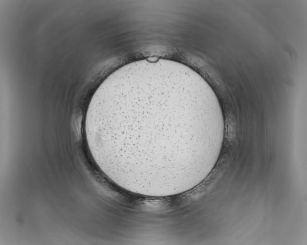 X0000110950070200907171637