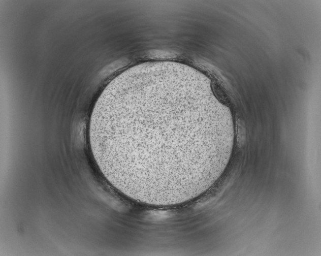 X0000110950071200907171637